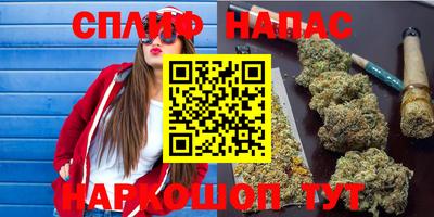 стафф Славгород