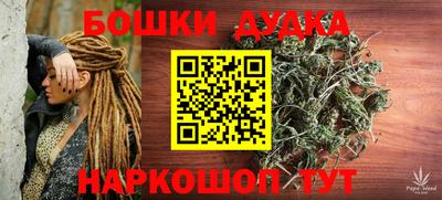 винт Сланцы