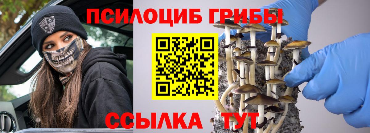 Галлюциногенные грибы GOLDEN TEACHER  Вход с VPN  Павловский Посад 